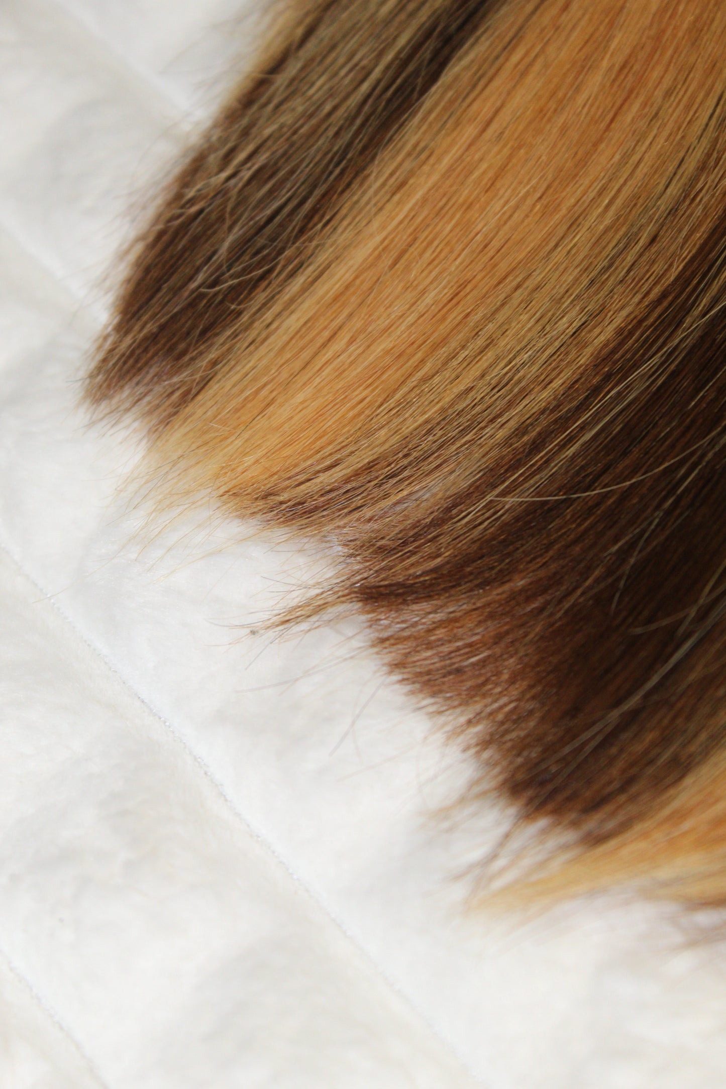 Perruque Carré Lisse P4/27